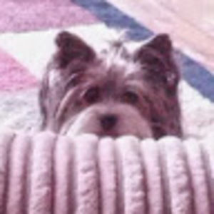 Meet your Posher, Debbie